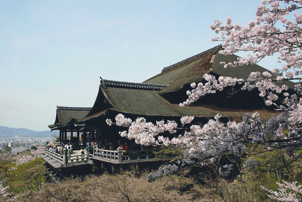 4.桜を風景の一部として撮る