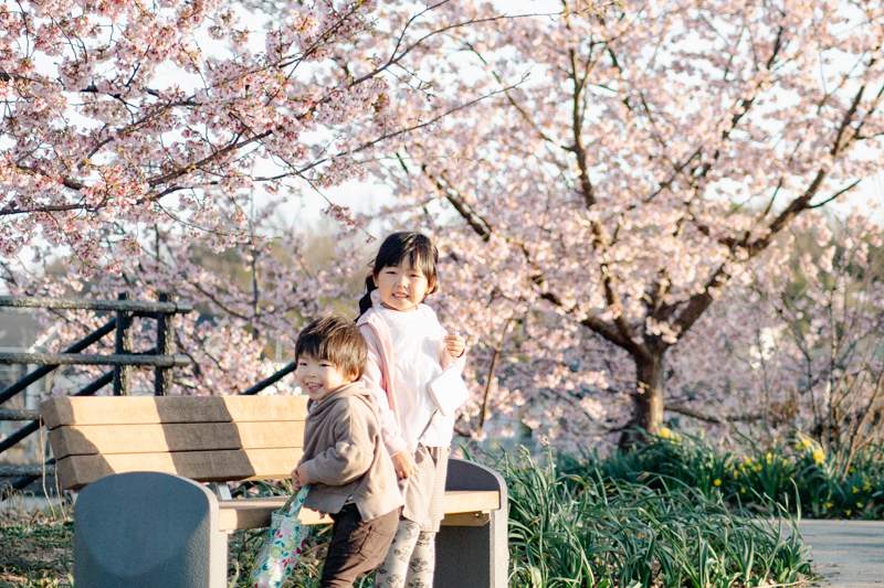 子どもと桜を美しく撮るには？おすすめの構図