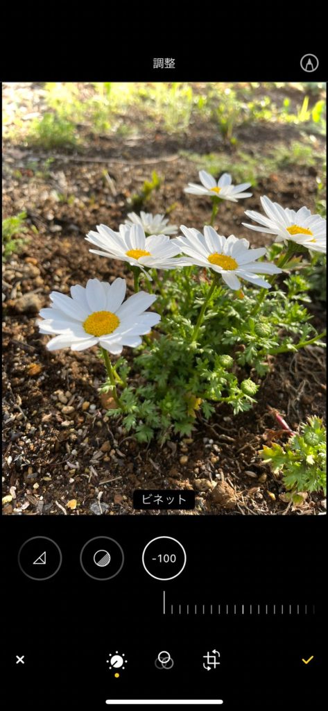 Iphoneの写真編集機能がすごい おすすめ加工テクニックを紹介します Tolanca