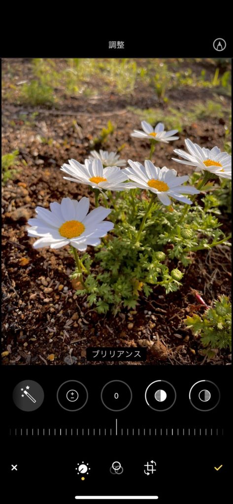 Iphoneの写真編集機能がすごい おすすめ加工テクニックを紹介します Tolanca